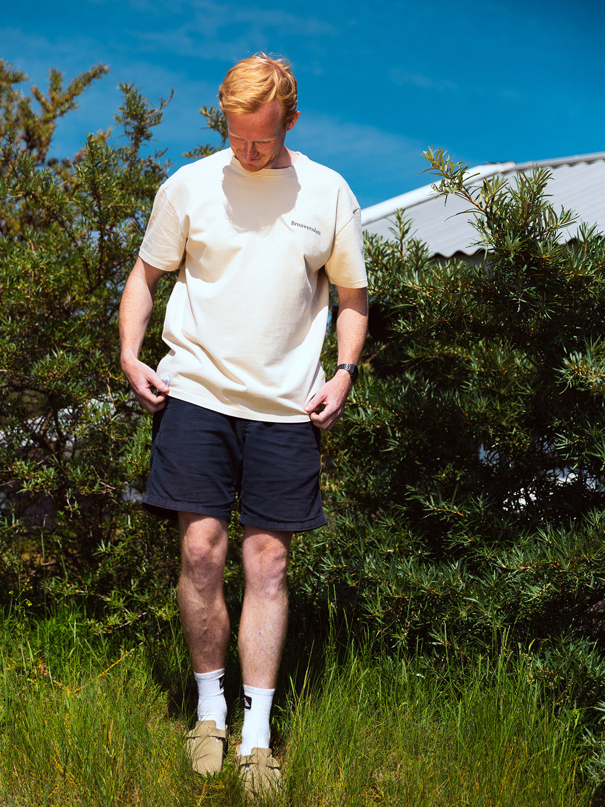 Plankzeilen Tee